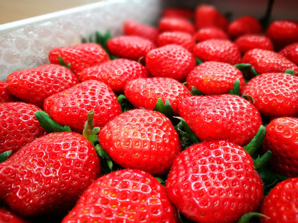 イチゴの贈り物